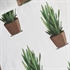 Picture of Sansevieria - Cotton Lawn - Gebroken Wit