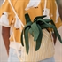 Picture of Wiggly Verticals - Yellow - M - Cotton Canvas Gabardine Twill - Papyrus Crème