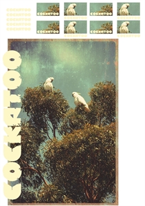 Bild von Cockatoo - L - 1.0 - DTF A3