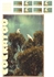 Bild von Cockatoo - L - 1.0 - DTF A3